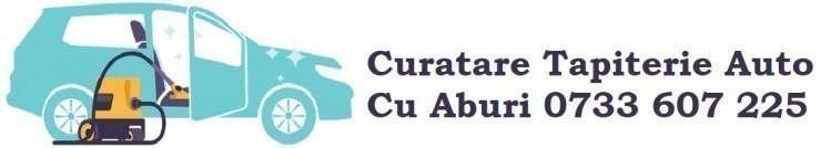 Curatarea Tapiteriei Auto Cu Aspirator Injectie Extractie Cu Aburi  Detailing Auto Cu ABuri Bucuresti  Spalare Curatare Igienizare Cu ABuri Spalatorie 