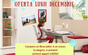 Ofertele lunii decembrie la mobilier de birou ergnonomic, de la Moll