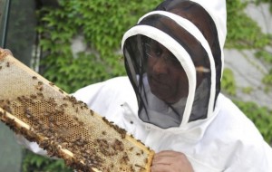 Top 4 produse esentiale oricarui apicultor