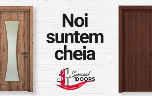 Special Doors - pentru o casa deosebita