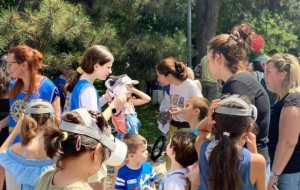 Rom&acirc;nia ajunge la nivelul Uniunii Europene &icirc;n utilizarea scaunelor auto pentru copii. Peste 106.000 de părinți &icirc;n cea mai mare comunitate educațională de profil din UE